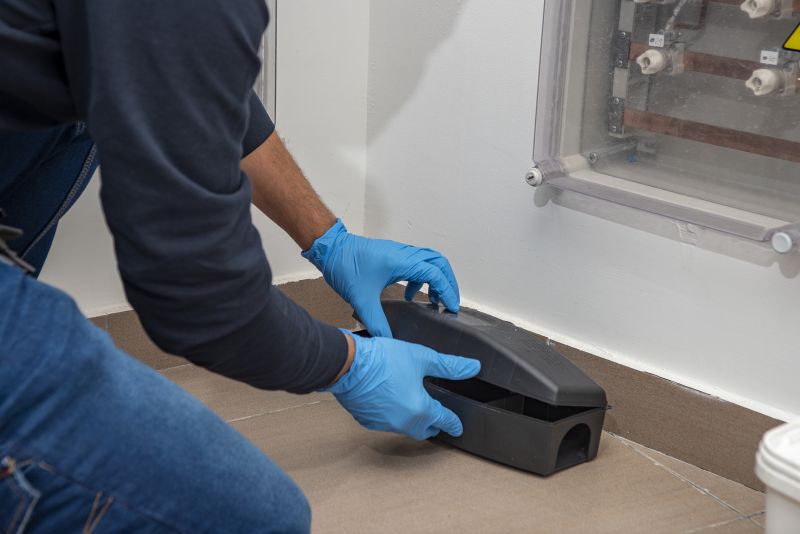 Dead Animal Removal Services Overview